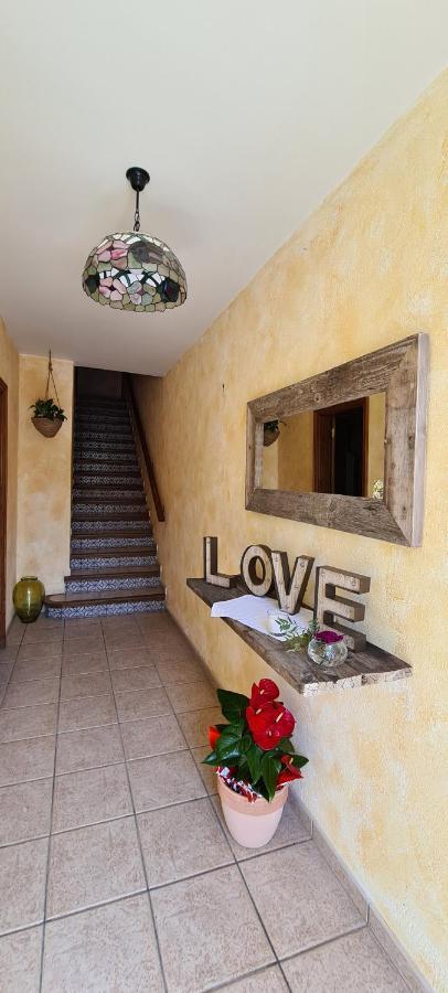 Casa Mon Villa Tiurana Dış mekan fotoğraf